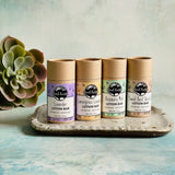 Four lotion bars on a tray next to a succulent.