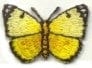 Yellow butterfly image