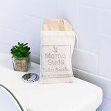Toilet bombs bag on toilet with plant.